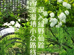 -西溪国家湿地公园