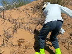 -银肯塔拉沙漠生态旅游景区