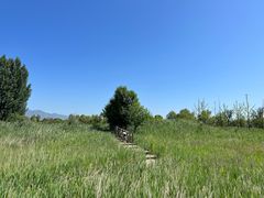 -野鸭湖国家湿地公园