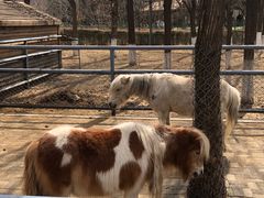 -长白岛森林公园