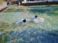 -深业半汤御泉庄温泉