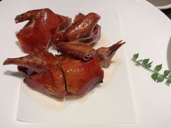 -甄御•海鲜新青岛菜(麦岛店)