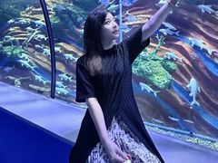 -重庆欢乐海底世界