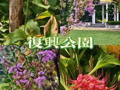 -复兴公园