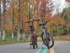 -白鹭湾湿地公园