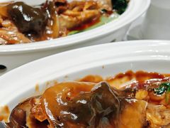 -新光酒家·河豚·海鲜·蟹料理(浦东店)