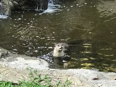 -清迈夜间动物园