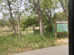 -泗洪洪泽湖湿地景区