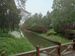 -东平国家森林公园