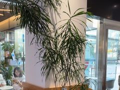 -Blueglass酸奶(财富购物中心店)