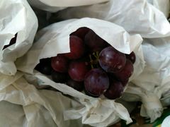 -马陆小张葡萄园农家乐