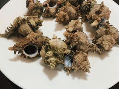 -南麂列岛