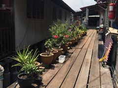 -槟城街头艺术街区