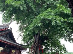 -黄龙溪古镇