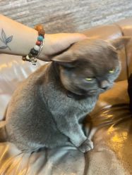 -青木造型HAIR·あおき髪を刈る潮人店