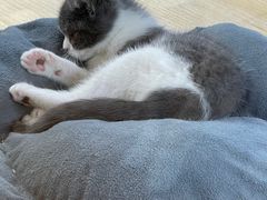 -LIN COFFEE CO(龙珠达店)