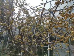 -南通洲际绿博园