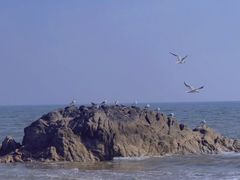 -老虎石海上公园