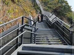 -福道