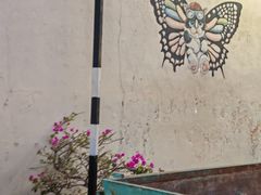 -槟城街头艺术街区