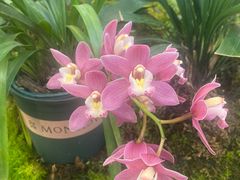 -国家植物园南园