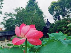 -龚家花园农家乐休闲别墅