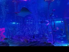 -沈阳海洋探索中心