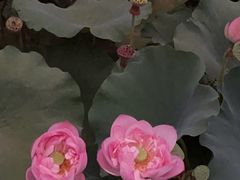 -沐仙湖湿地公园