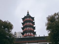 -绳金塔