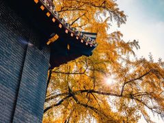 -四川大学(华西校区)