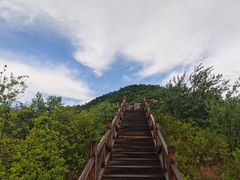 -大岭沟猕猴桃谷风景区