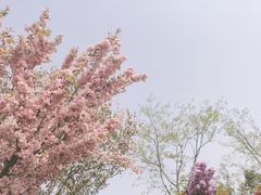 -陕西省西安植物园