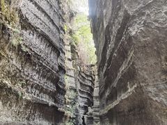 -梭布垭石林景区