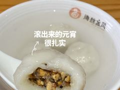 -海丝金凤(金鱼店)