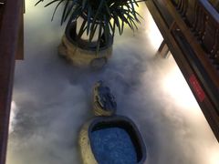 -三只耳火锅(宽窄巷子店)