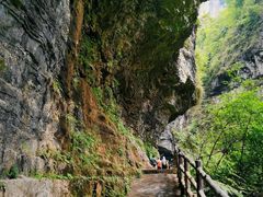 -鹿院坪生态旅游景区