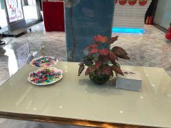 -清颜专业祛痘连锁店