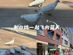 -中粮·祥云小镇