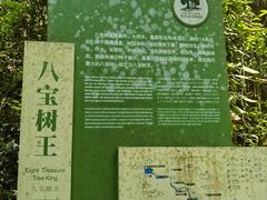 -莫里热带雨林景区