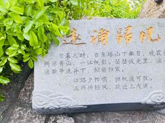 -江心屿景区