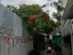 -大澳