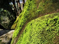 -浏阳石牛寨风景区