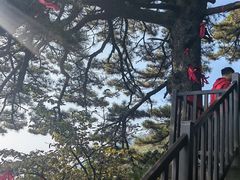 -南岳衡山风景名胜区-南岳大庙