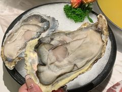 -汤城·料青山