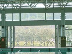 -紫马岭游泳馆