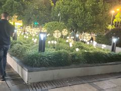 -巴黎春天(浦建店)