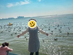 -呈贡滇池生态湿地公园