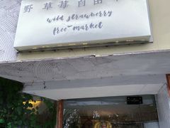 -野草莓自由市场