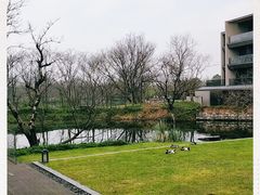 -木守西溪溪隐餐厅