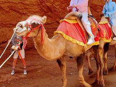 -天山神秘大峡谷